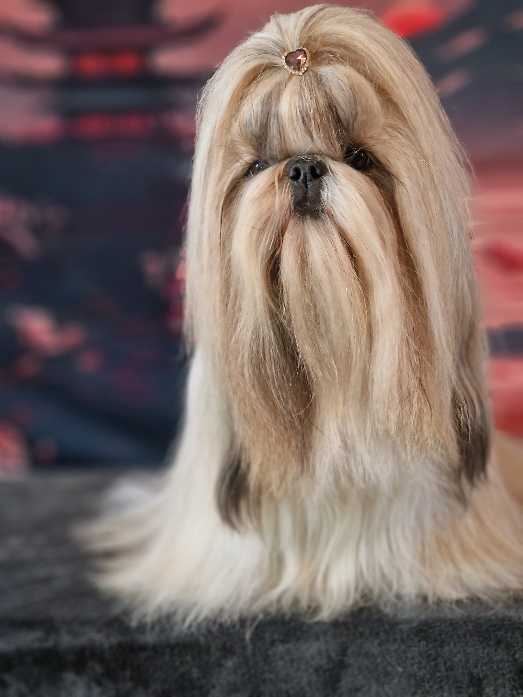 Ulawen freya of ai huong lan's Dreams