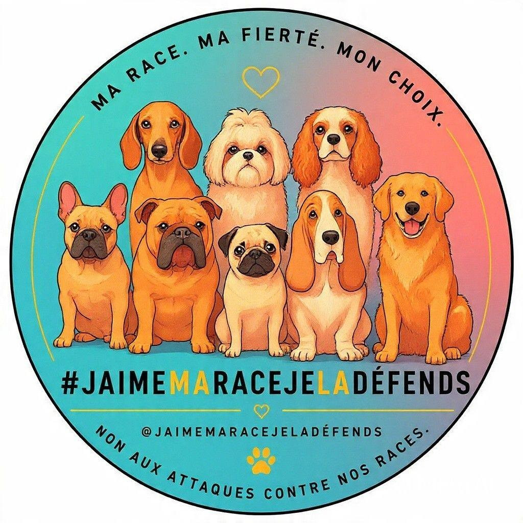 🐾 **TOUS LES CHIENS DE RACE NE SONT PAS MALADES !**
