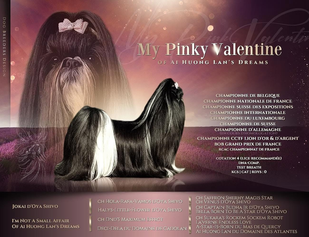My Pinky Valentine Of Ai Huong Lan s Dreams